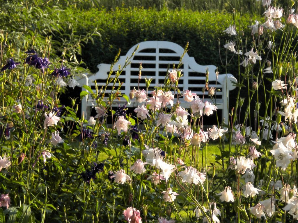 Blumen und weiße Gartenbank im Cottage-Garten