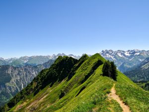 Cottage No.8 – Ferienwohnung Allgäu-Bodensee